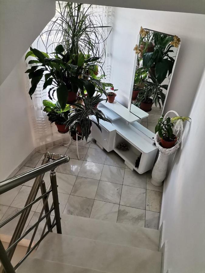 Guest House Konomaevi سوزوبول المظهر الخارجي الصورة