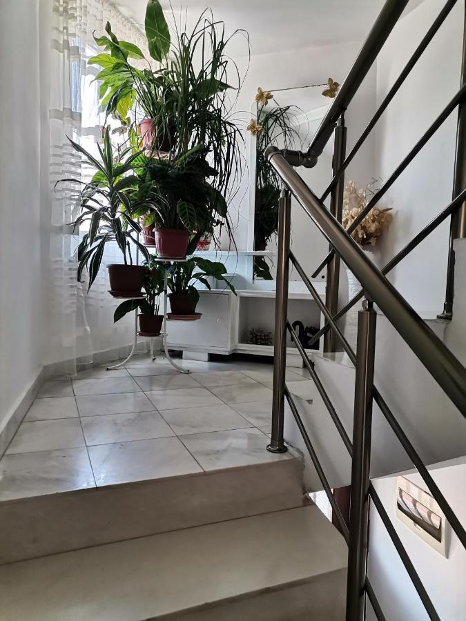 Guest House Konomaevi سوزوبول المظهر الخارجي الصورة